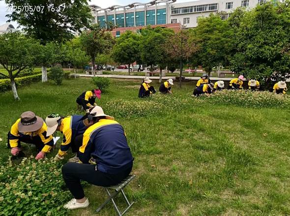 微信图片_20251113102217_63_90