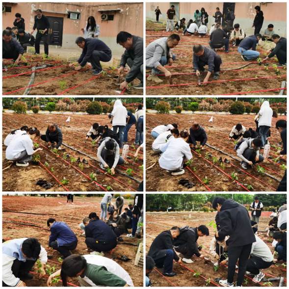 217b0ebf735b367c07c798ab4d0fd4ae