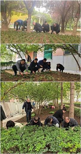 微信图片_20251029171317_101_7